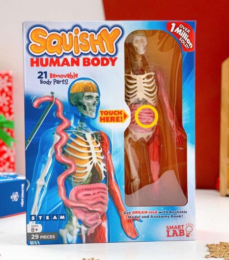 squishy human body